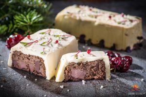 terina cu logo resize